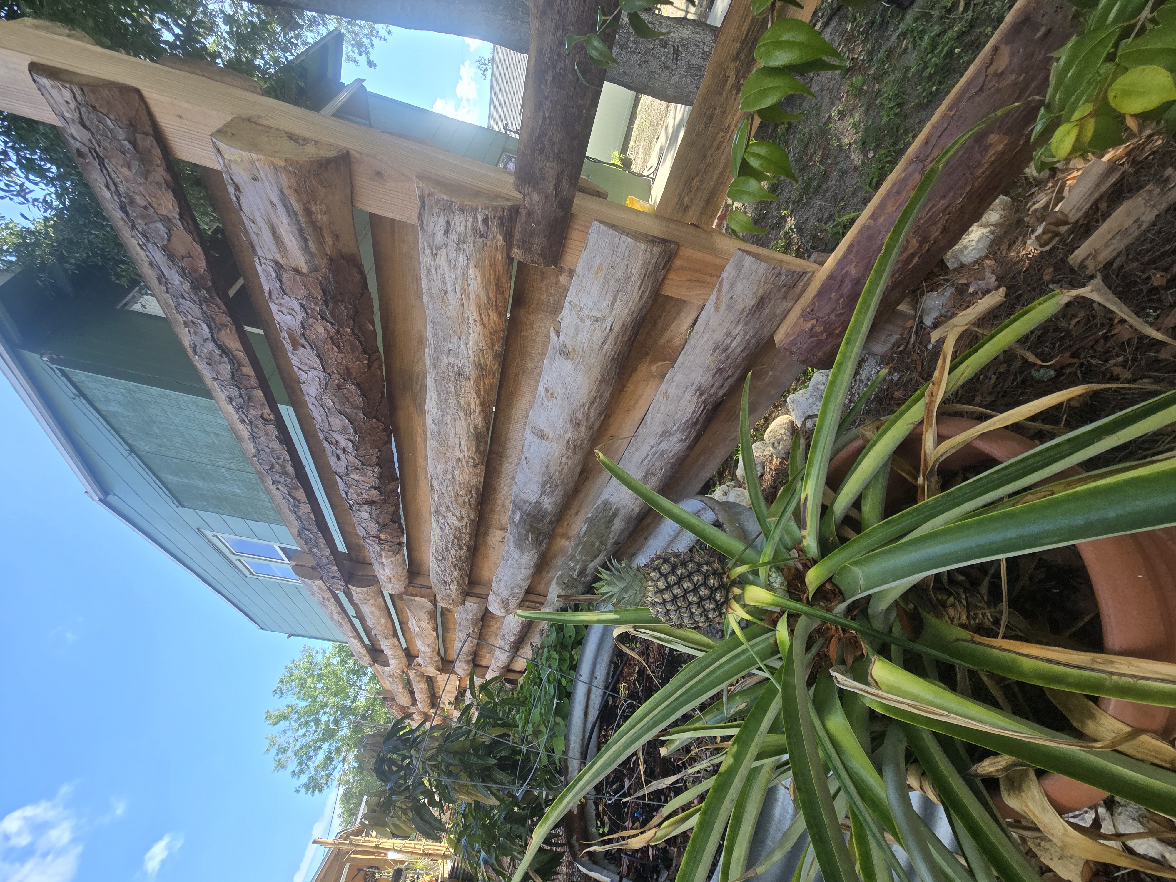 Shadowbox slab fence with reclaimed logs